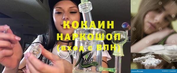 ешки Няндома