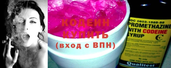 крисы Новозыбков