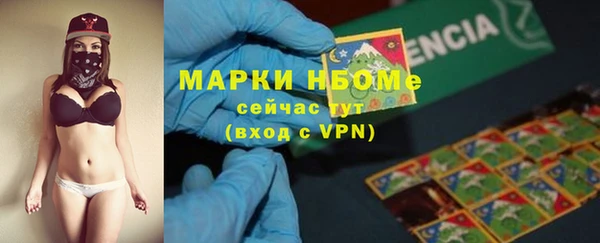 спиды Бикин