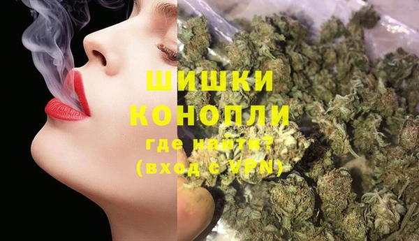 ешки Няндома