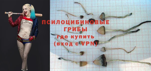 mdpv Новокубанск