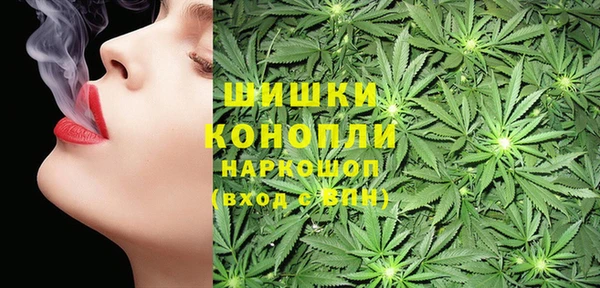 стафф Билибино